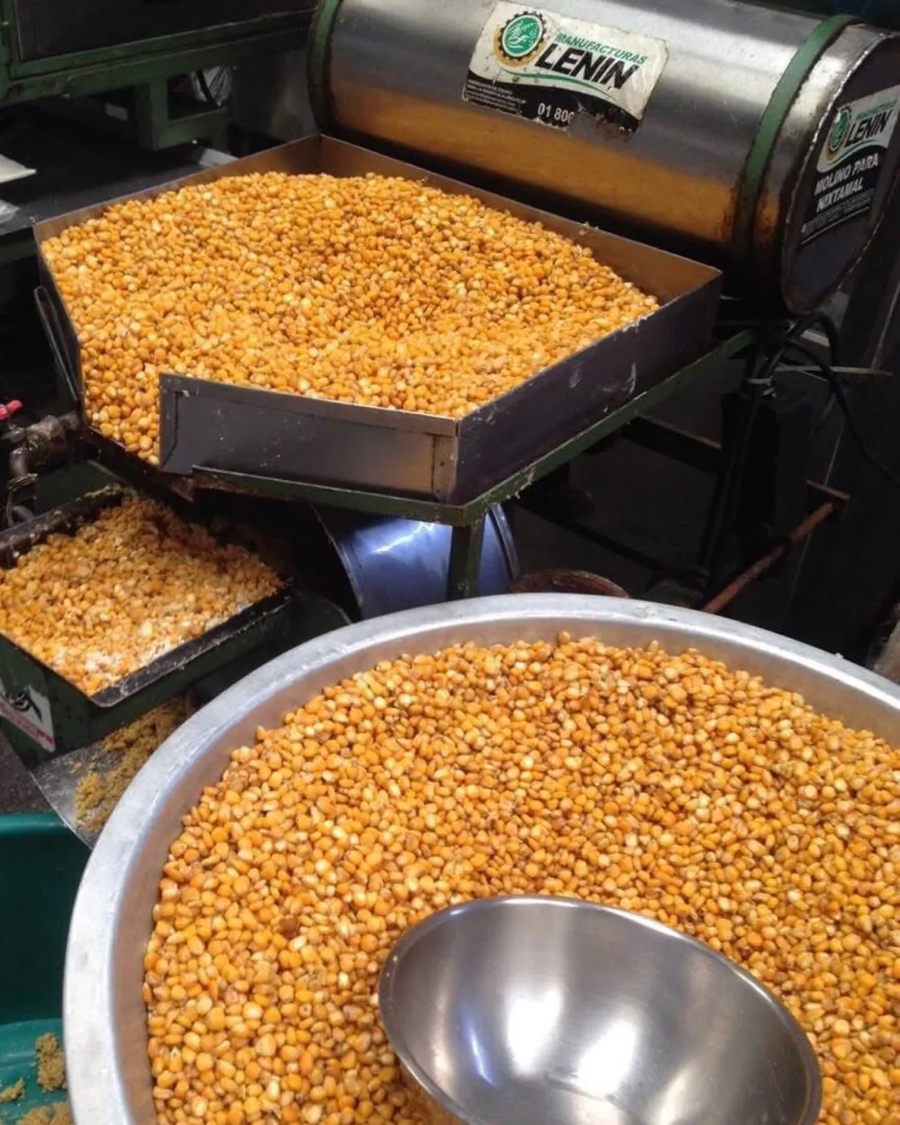 Dried yellow corn kernels in a feed tray and steel bowls at a Manufacturas Lenin “Molino para Nixtamal” corn mill