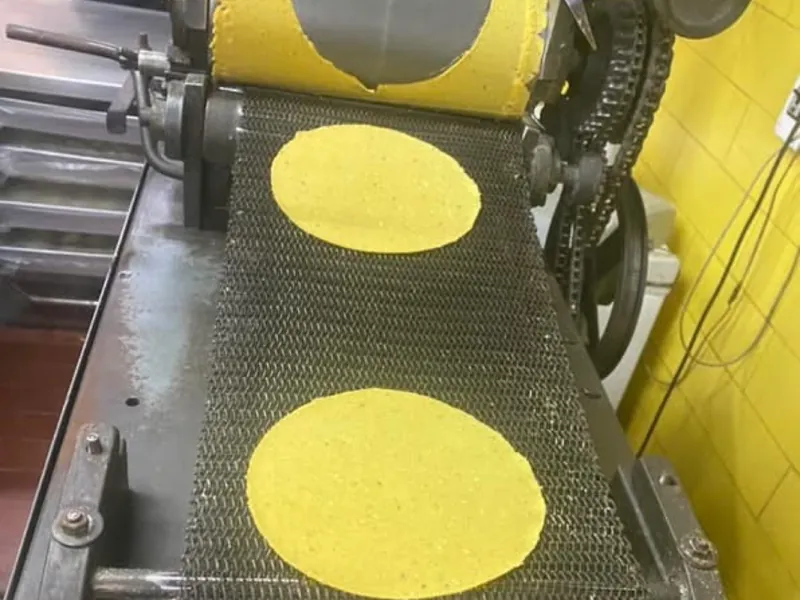 Yellow corn tortillas cut from a sheet of masa on the roller of a tortilla machine, moving along its wire-mesh conveyor