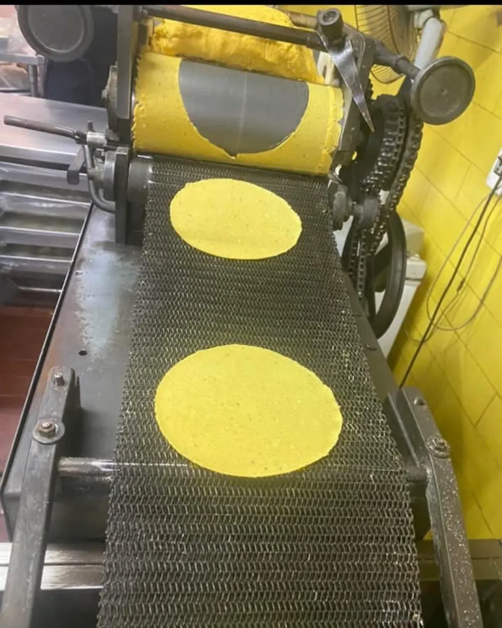 Yellow corn tortillas cut from a sheet of masa on the roller of a tortilla machine, moving along its wire-mesh conveyor
