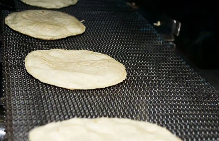 Fresh corn tortillas on the production line